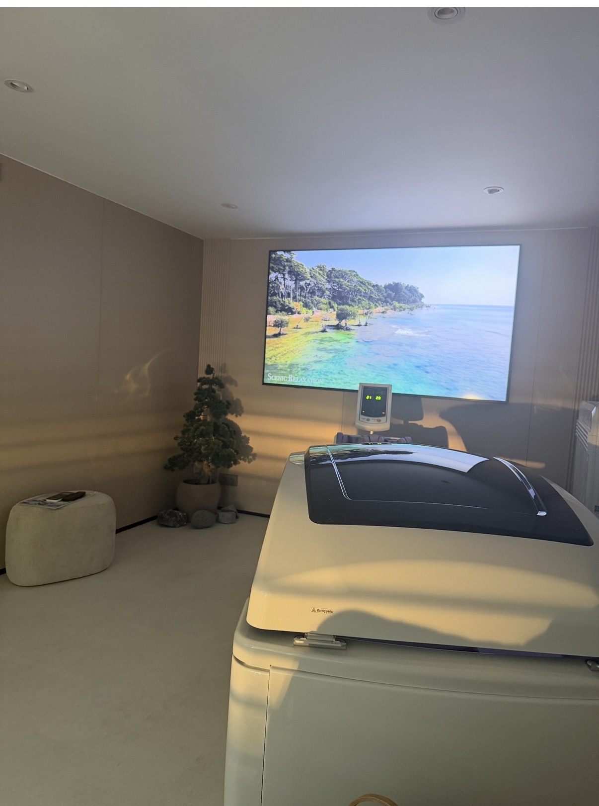 Scenic relaxation projection